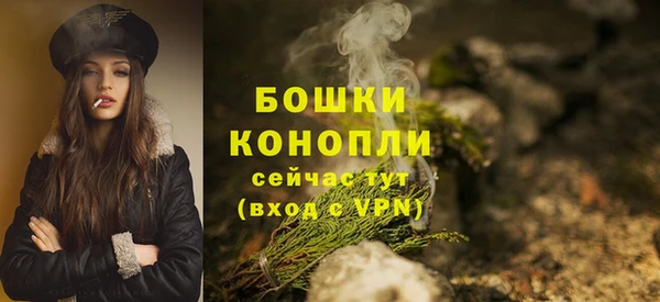 прущие грибы Красноперекопск