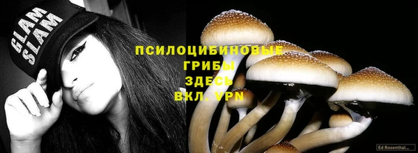 apvp Куйбышев
