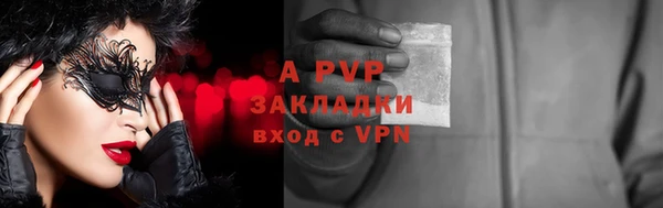 прущие грибы Красноперекопск