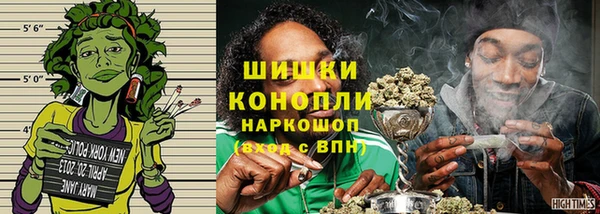 прущие грибы Красноперекопск